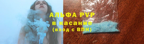ГАЛЛЮЦИНОГЕННЫЕ ГРИБЫ Абаза