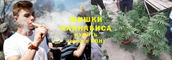 дурь Алзамай