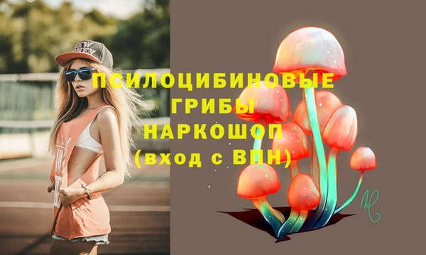 дурь Алзамай